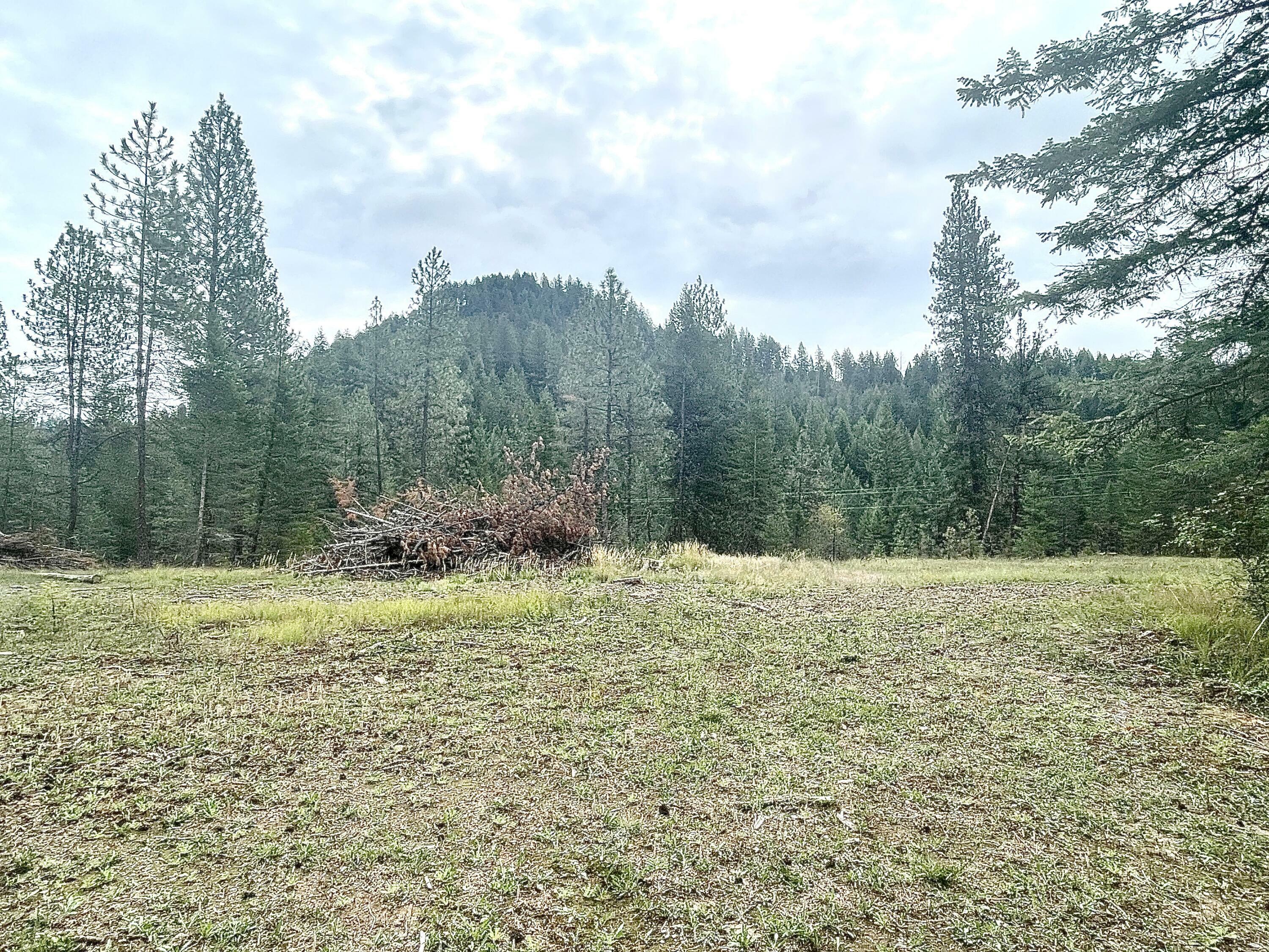 Property Photo:  3756 N Deer Lake Rd  WA 99148 