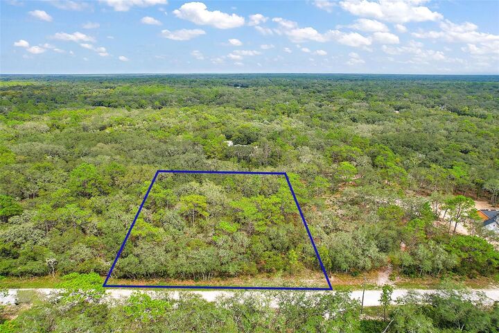 Property Photo:  Hatteras Drive  FL 33597 