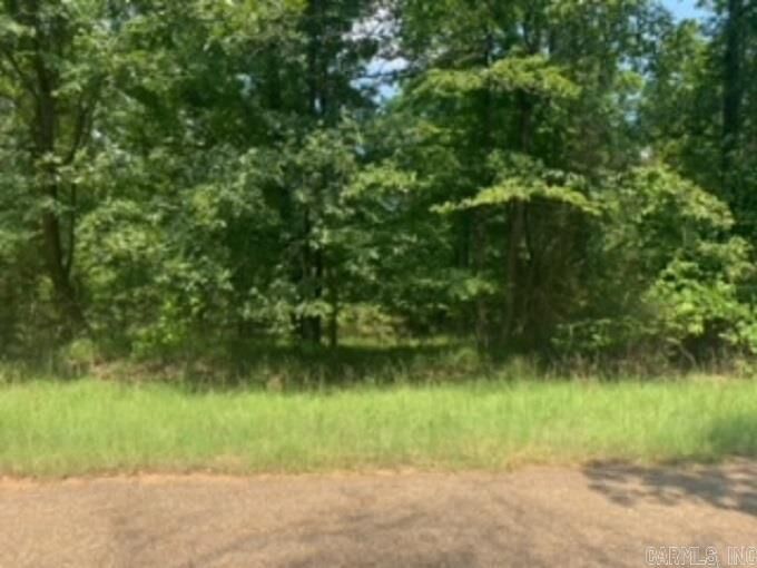 8.32 Acres Corner Of Ridgeview And Laticana  Camden AR 71701 photo
