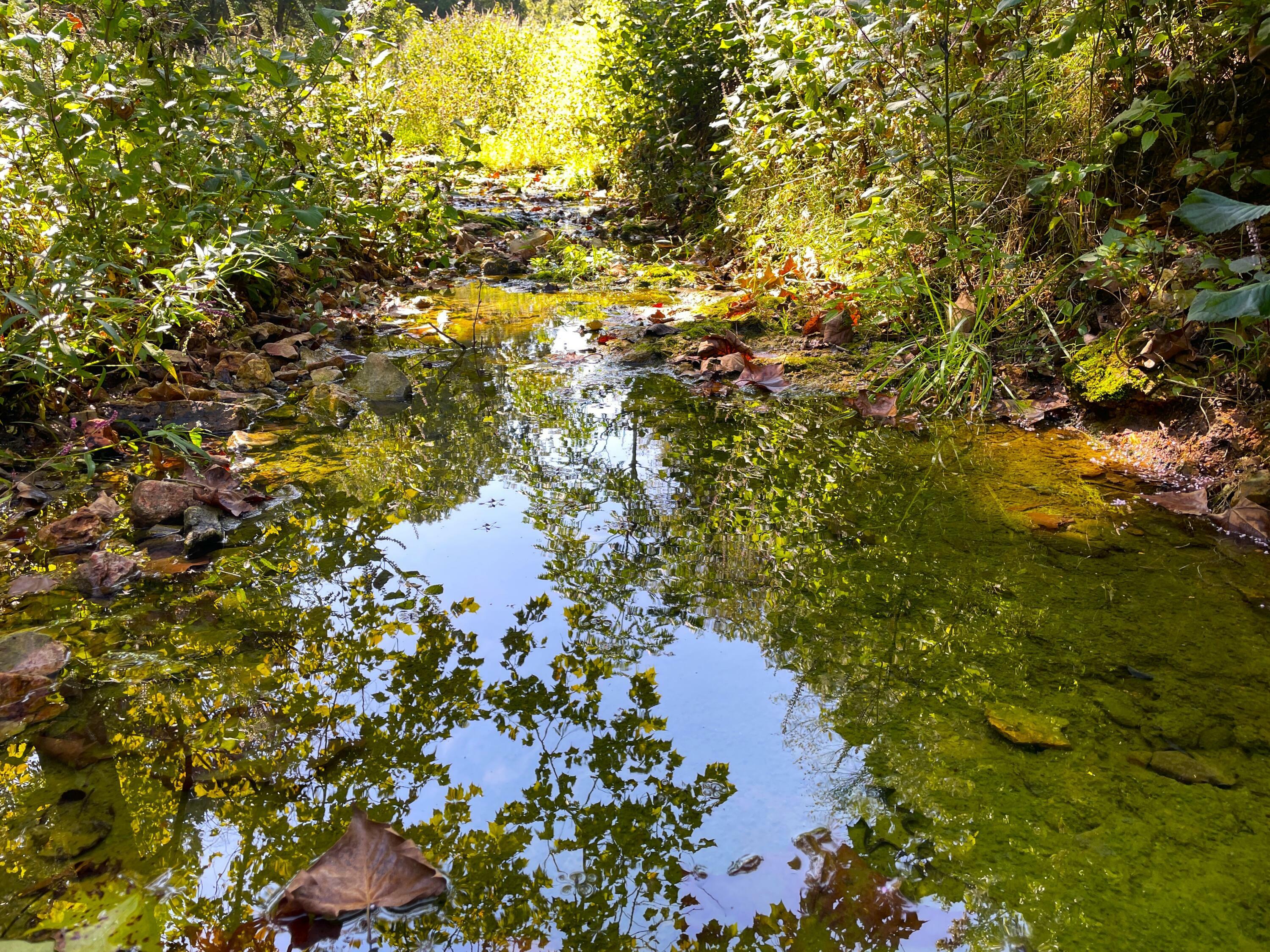 Property Photo:  756 Crane Road  MO 64854 