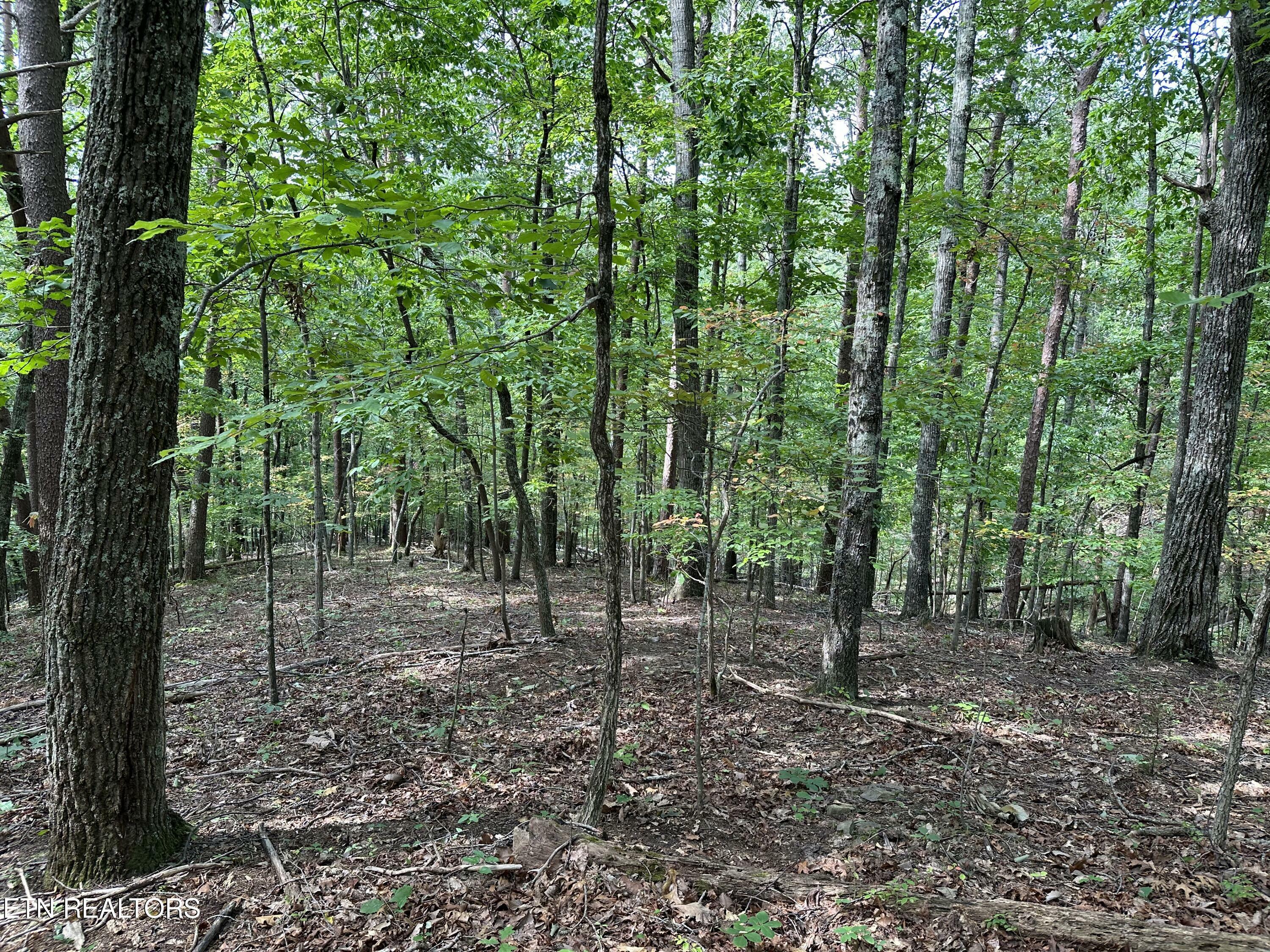 Property Photo:  Smoky Mountain View Drive  TN 37865 