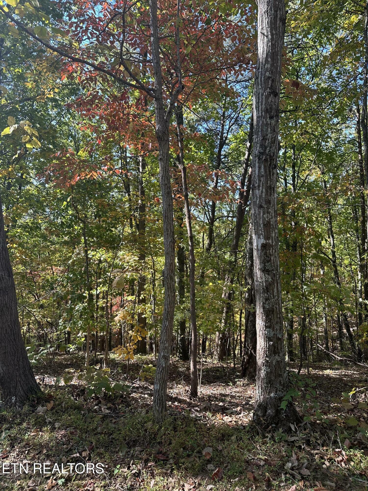 Property Photo:  Smoky Mountain View Drive  TN 37865 