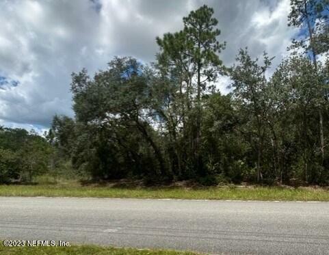 Property Photo: 203 Whispering Pines Road FL 32139