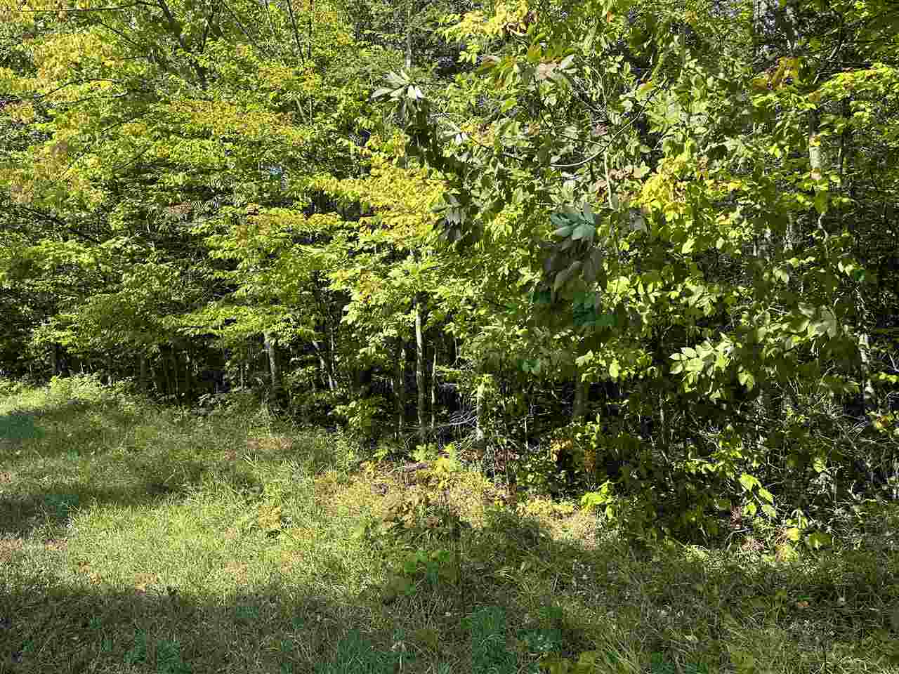 Property Photo: 1702 Trails End MI 49701