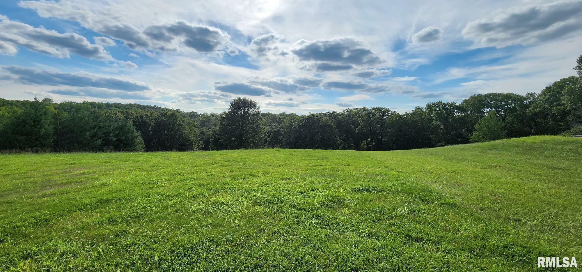 Property Photo:  5 Acres SE Sec 3 2s8w  IL 62305 