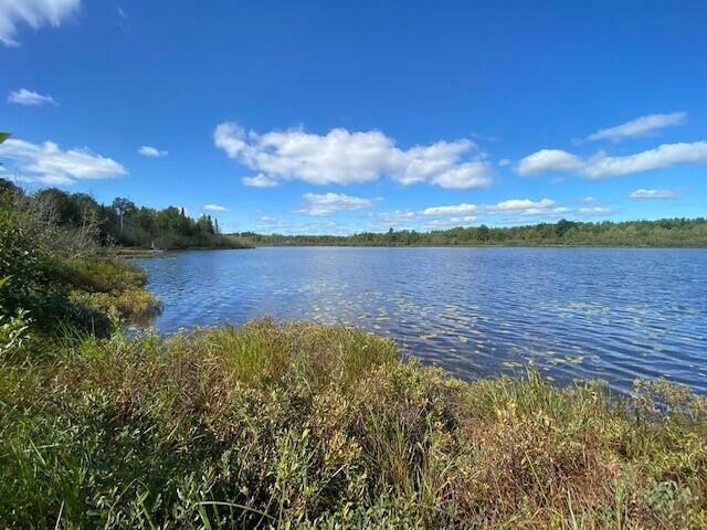 Pt Lot 119 W Birch Shore Drive  Trout Lake MI 49793 photo