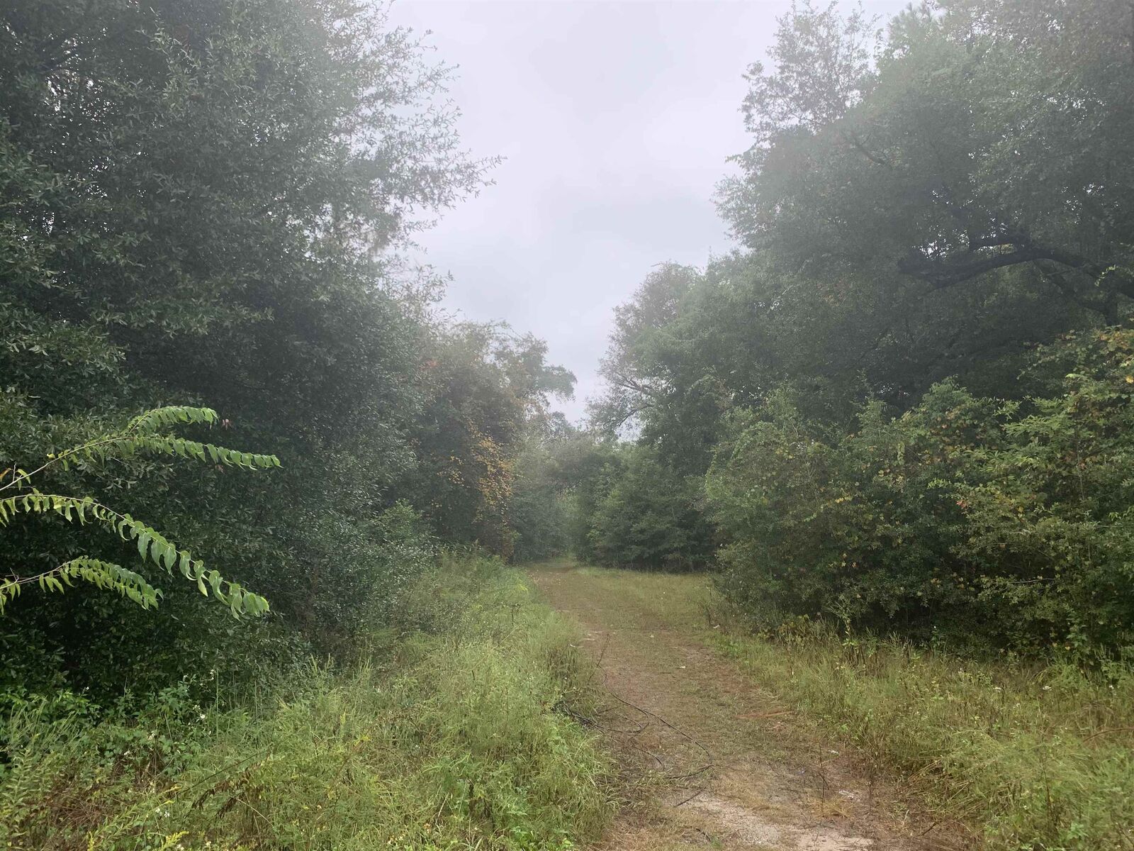 Property Photo:  19253 NW State Road 12 Road  FL 32321 