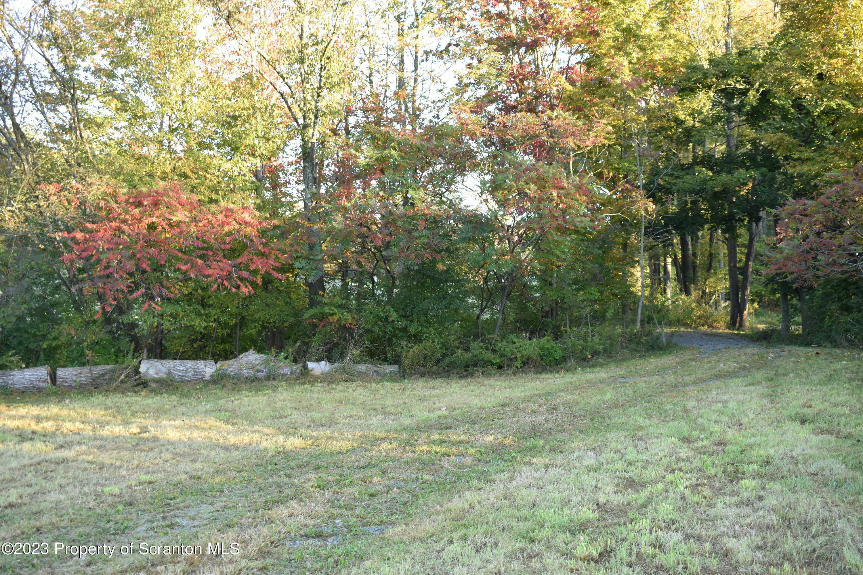 Property Photo:  Heart Lake Road  PA 18801 