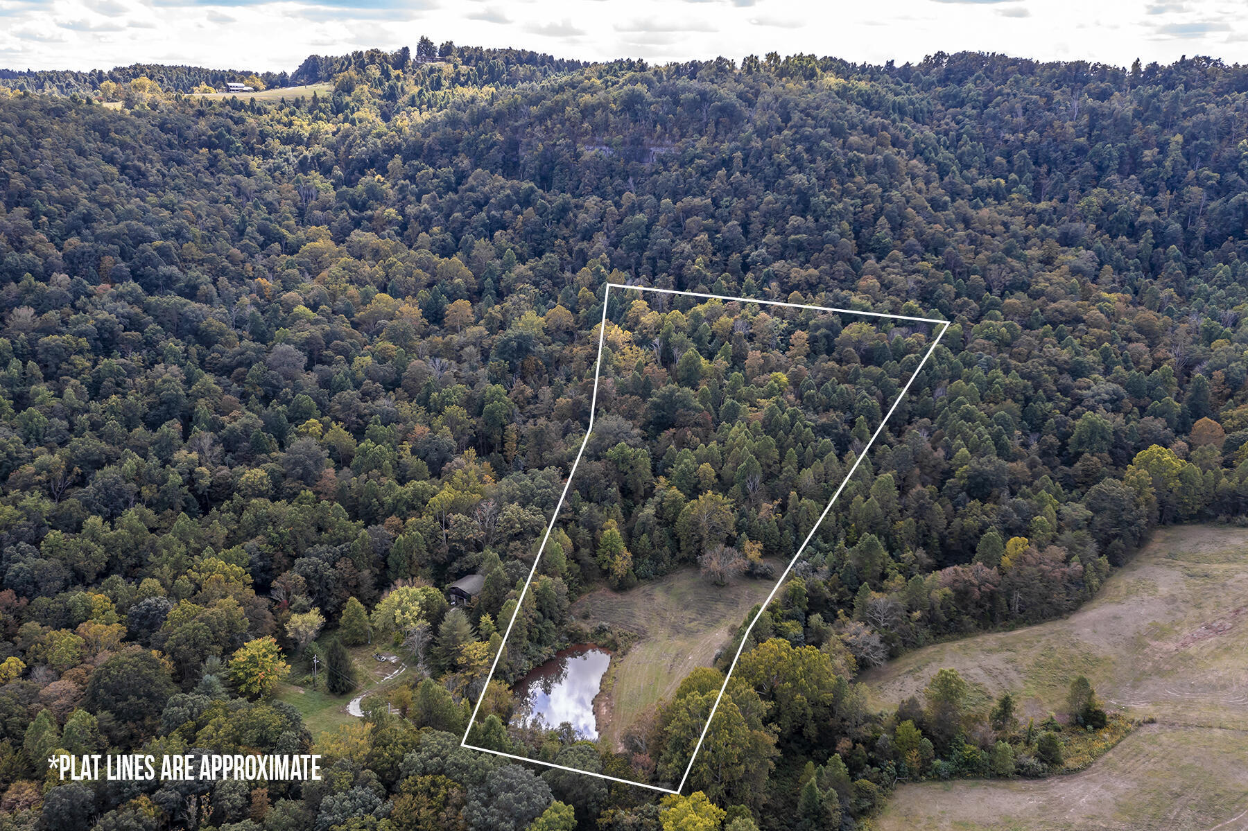 Property Photo: 436 Radford Hollow Road KY 40403