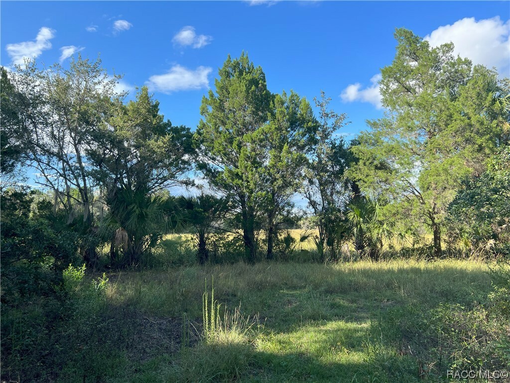 Property Photo:  11895 W Timberlane Drive  FL 34448 