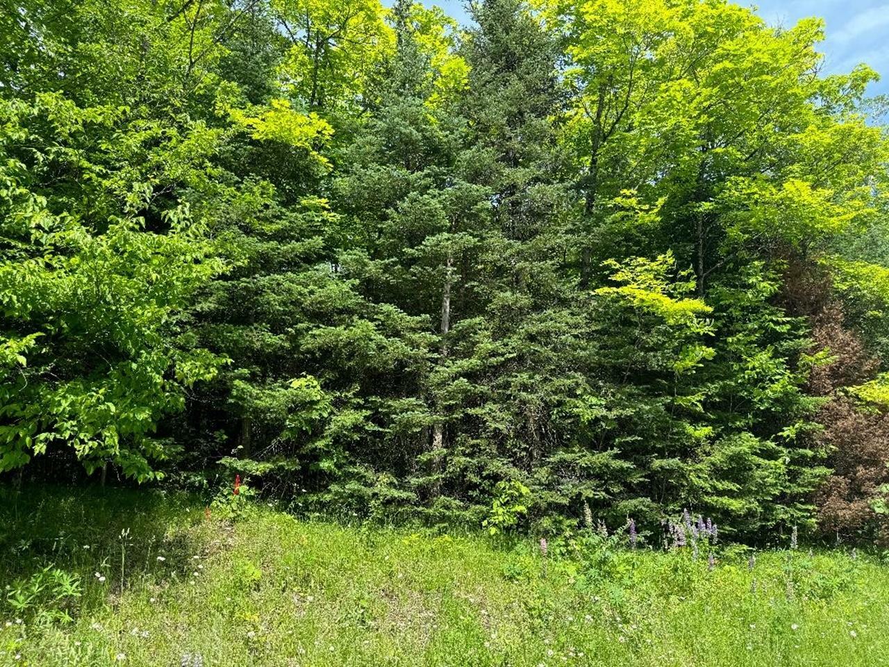 Property Photo:  On Cth Ff 1.5 Acres  WI 54547 