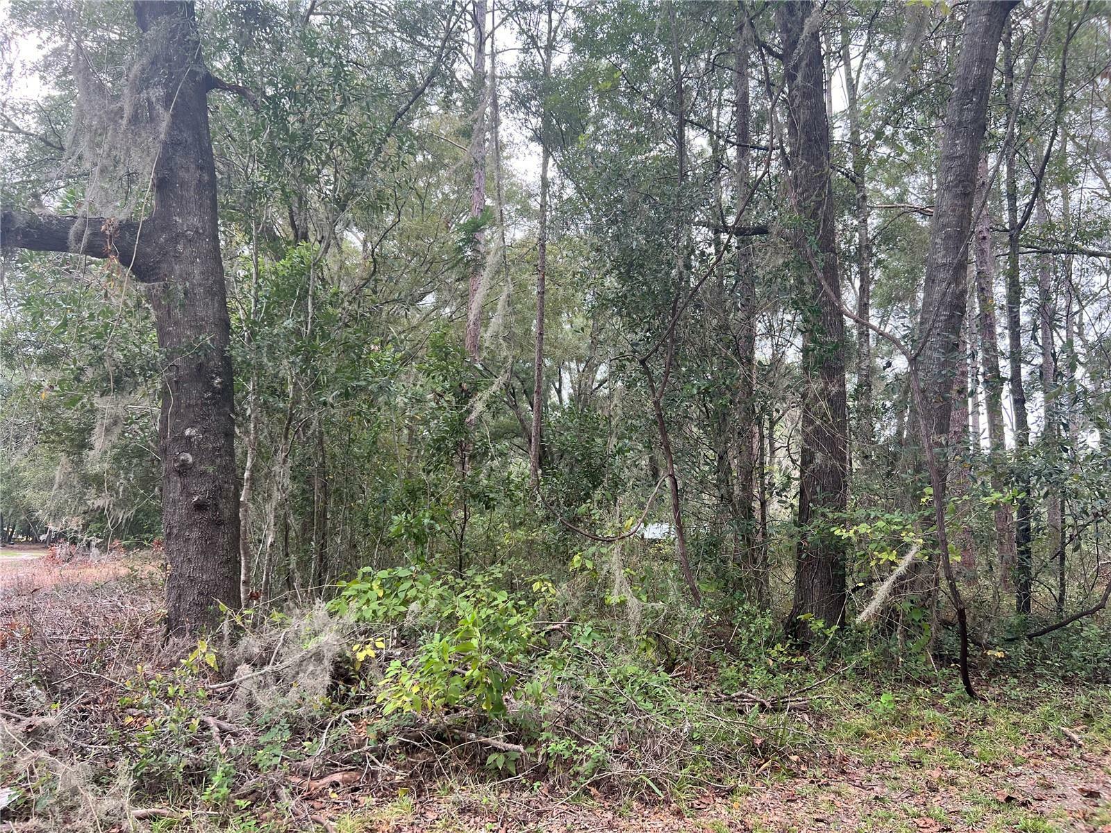 Property Photo: 00 NW 187th Road FL 32643