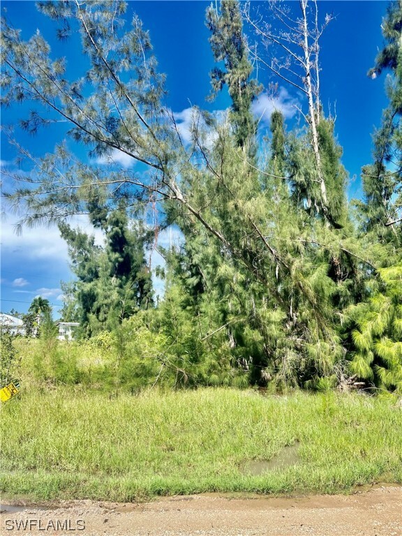 Property Photo:  11791 Pompano Avenue  FL 33991 