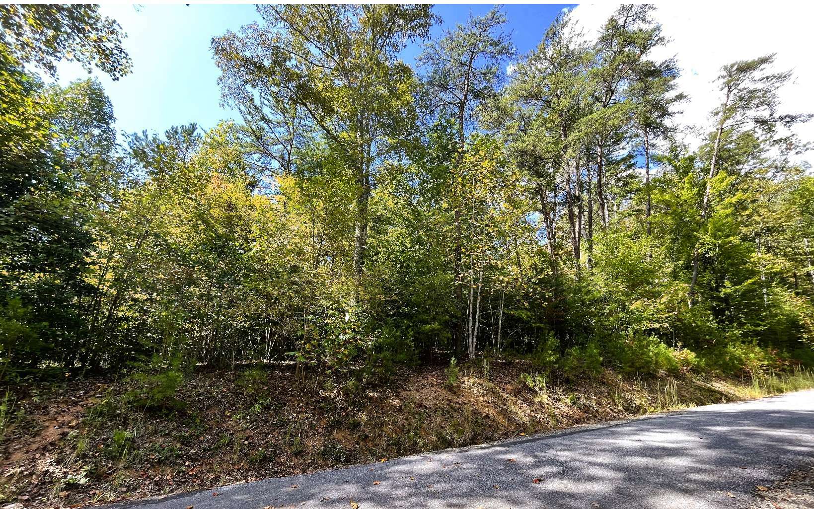 Property Photo:  00 Lost River Trail  NC 28904 