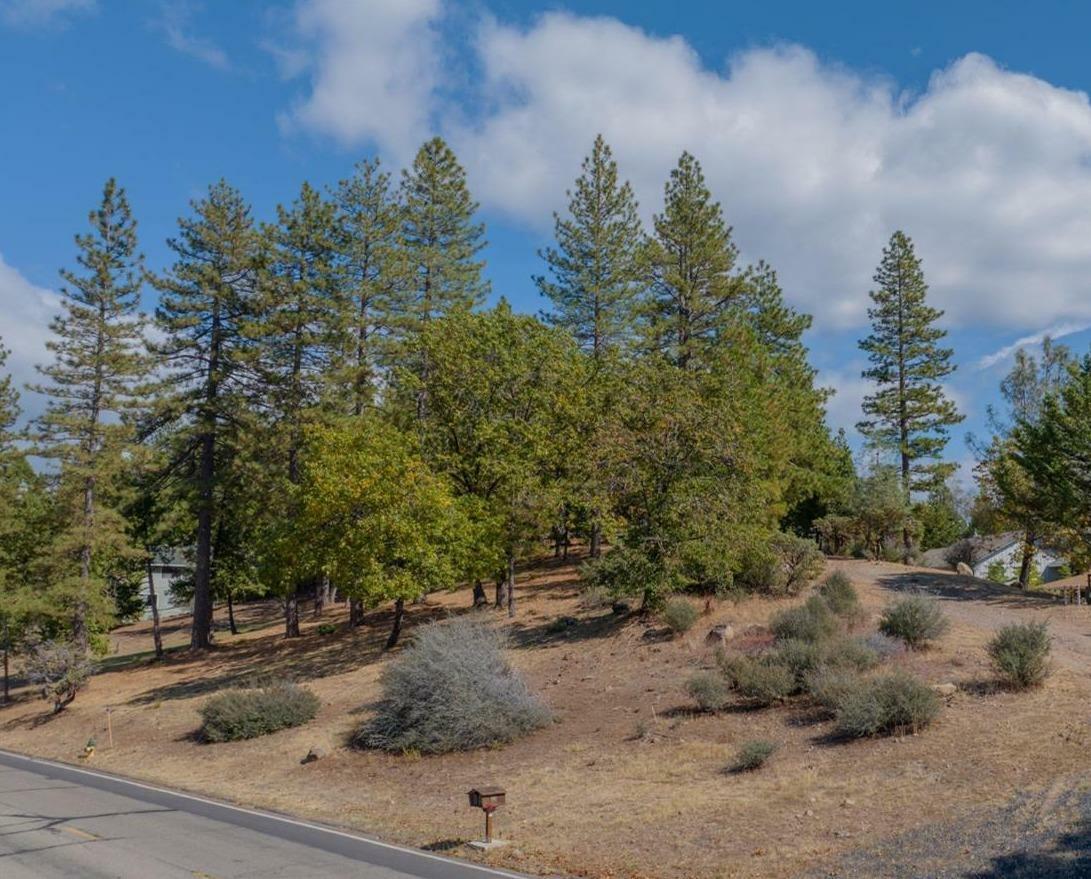 Property Photo:  323 Forest Meadows Drive  CA 95247 