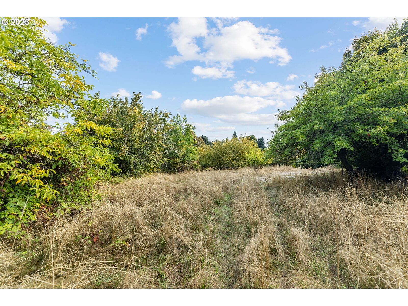 Property Photo:  0 NW Franklin St  WA 98663 