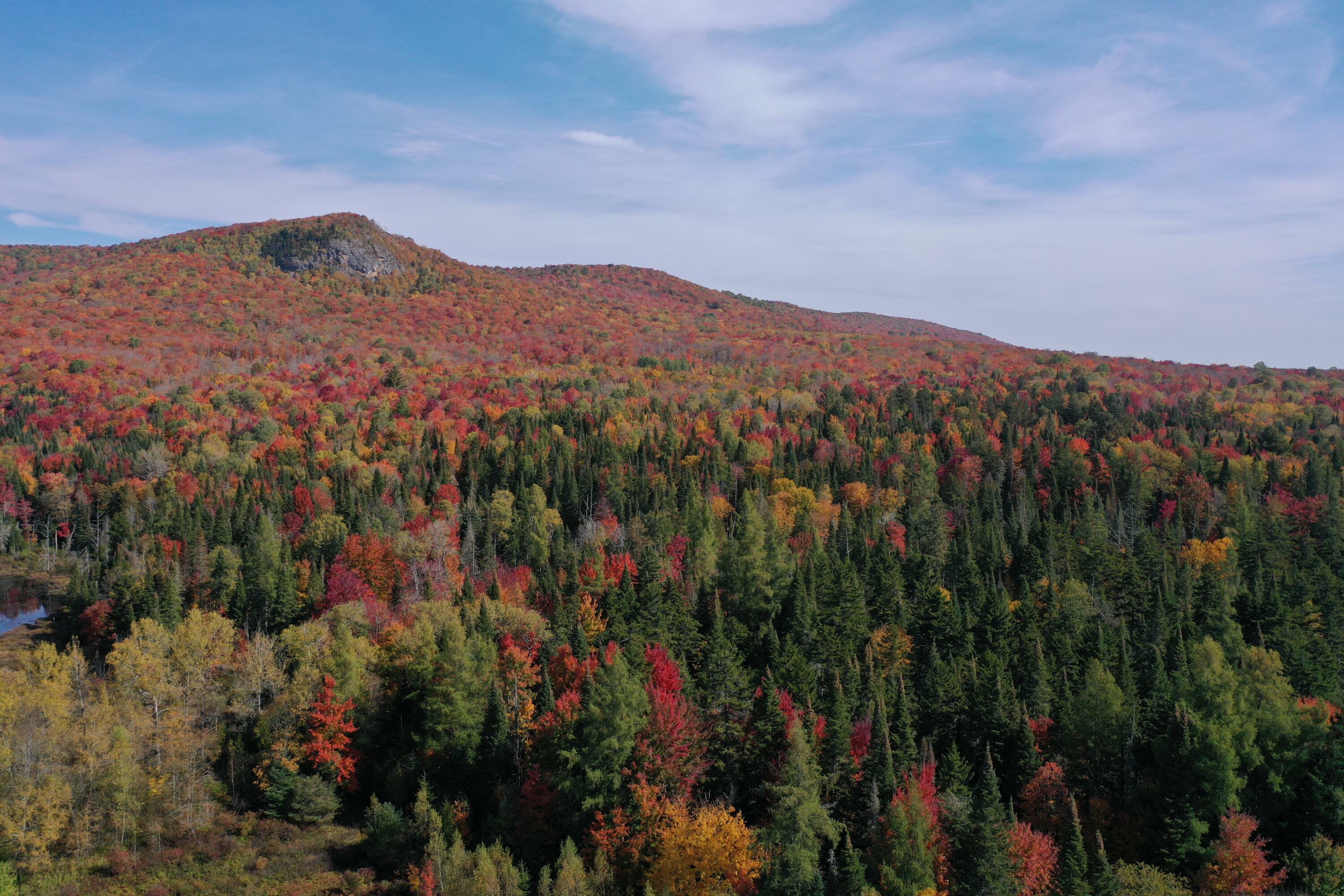 Property Photo:  32 Mill Pond Road Road  NY 12969 