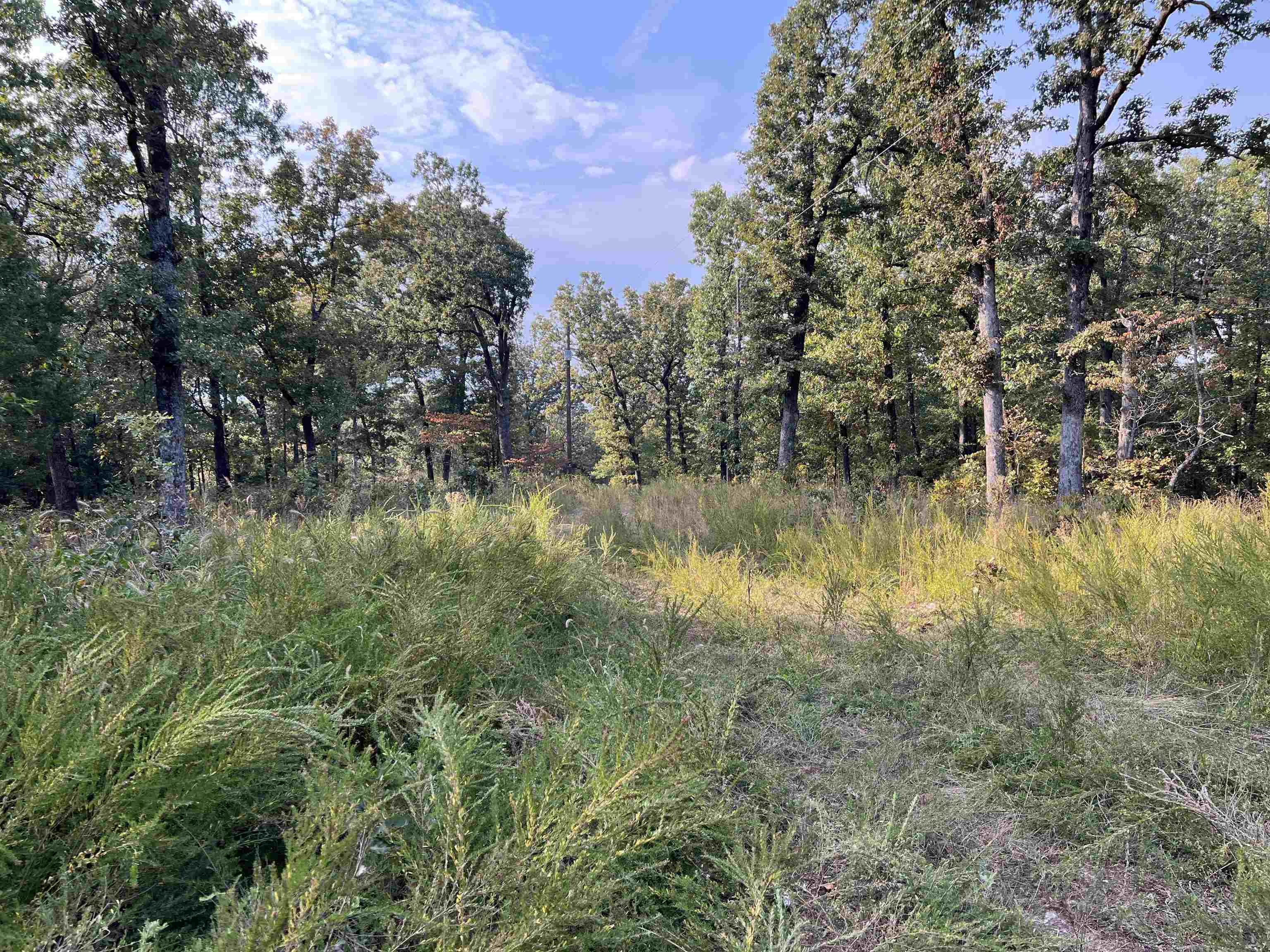 Property Photo:  Xx Inca Circle Hardy, Ar 72542  AR 72529 