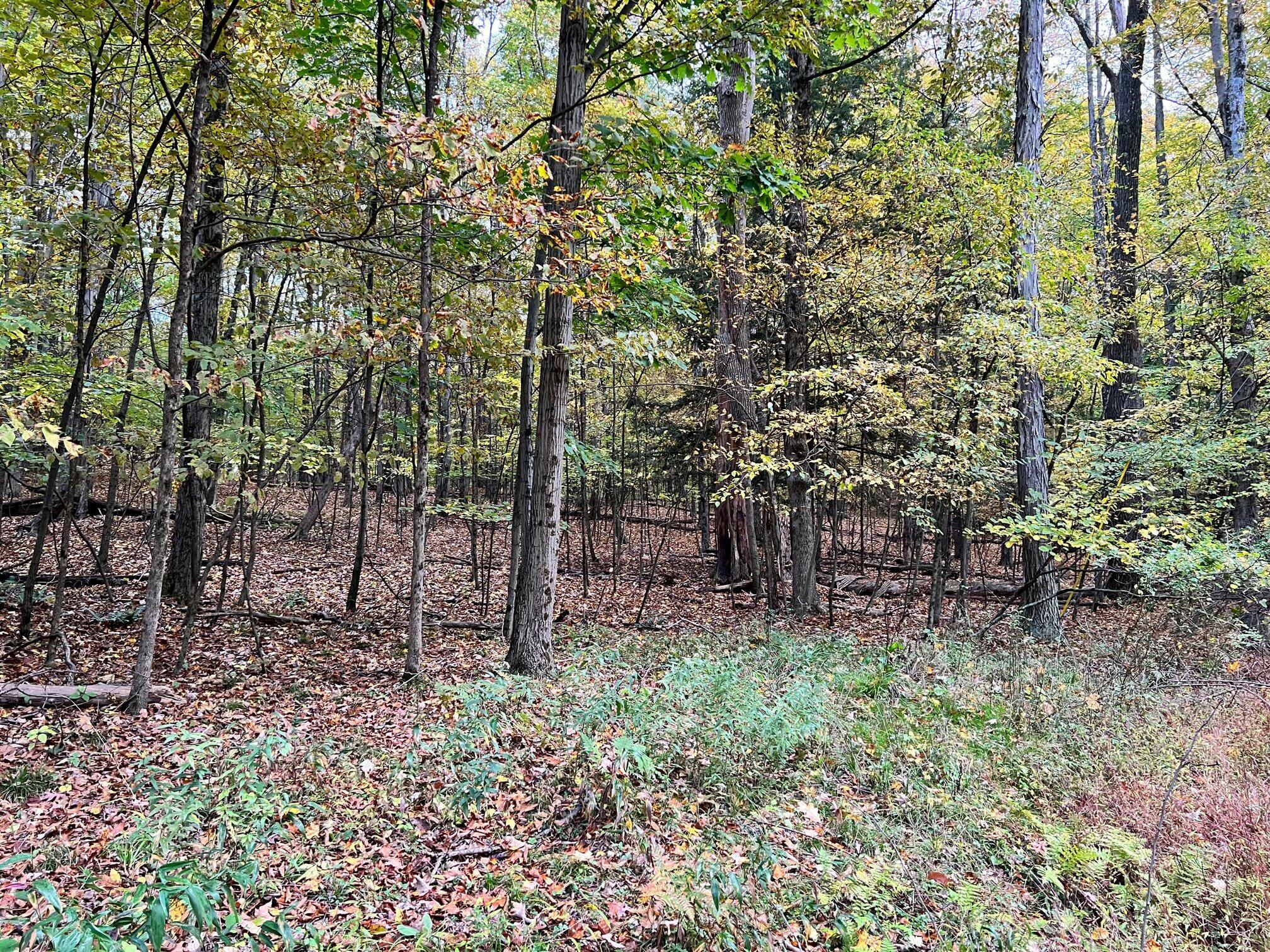 Property Photo:  25 Pinder Point Rd  PA 15801 