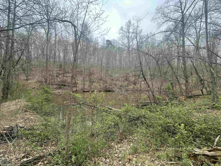 Property Photo:  4891 Spring Road  WV 25705 