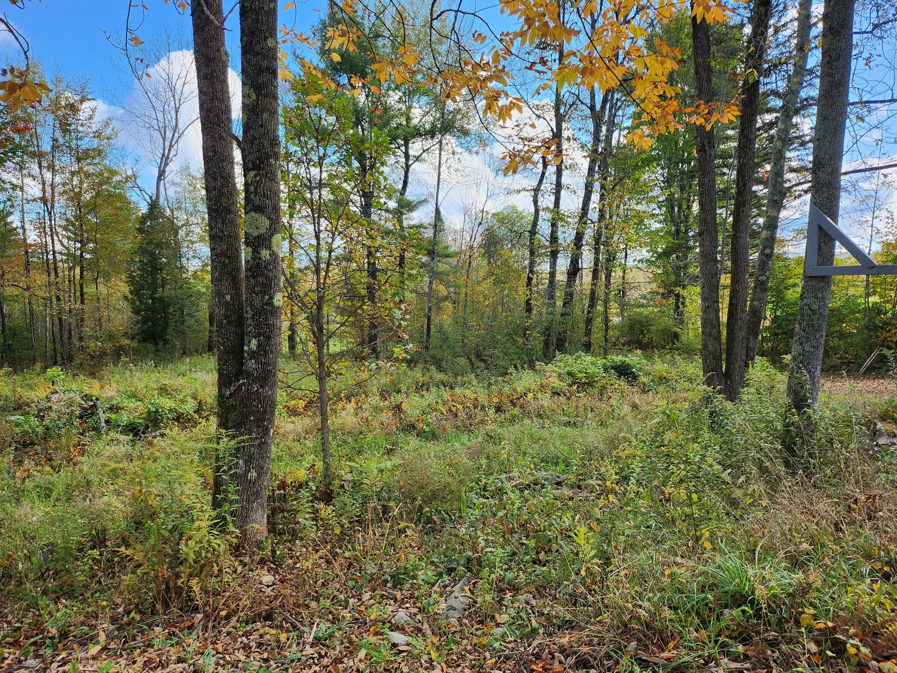 Property Photo:  Lot 24A Rutland Road  ME 04953 