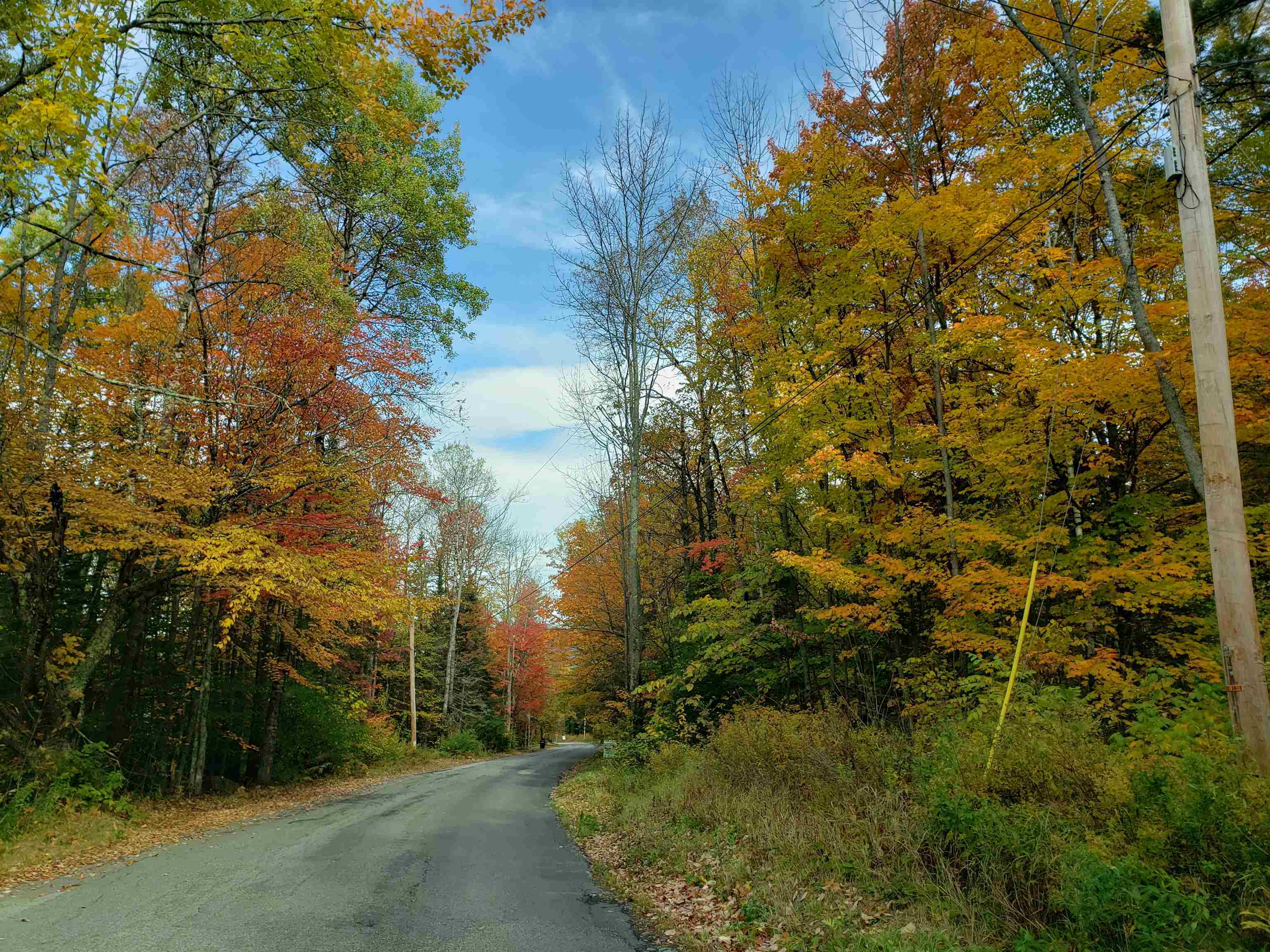 Property Photo:  Lot 39 Route 302/Parker Road  NH 03574 