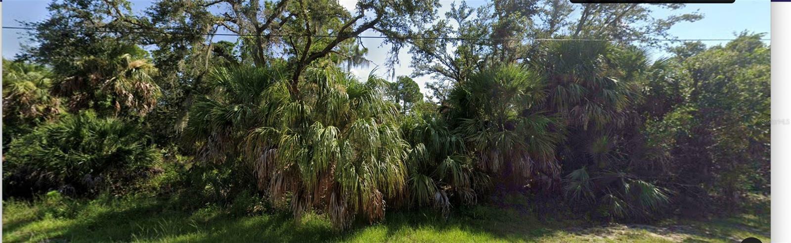 Property Photo:  Comet Lane  FL 34286 