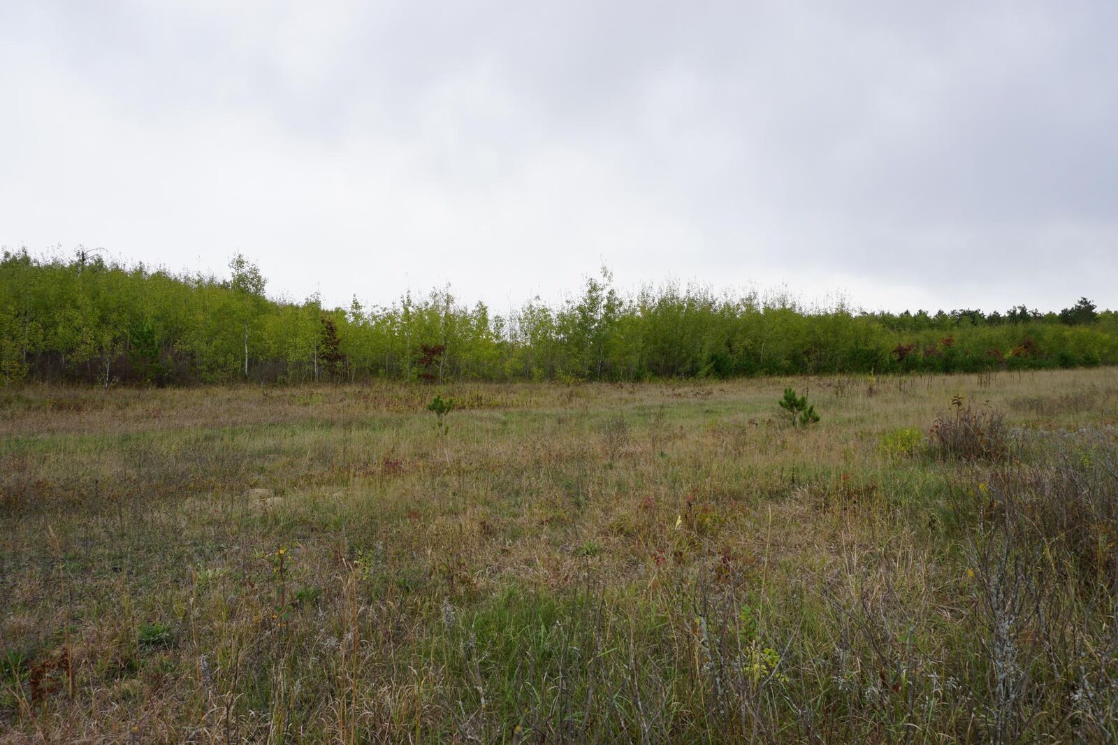 Property Photo: Tbd Hubbard Line Road MN 56464