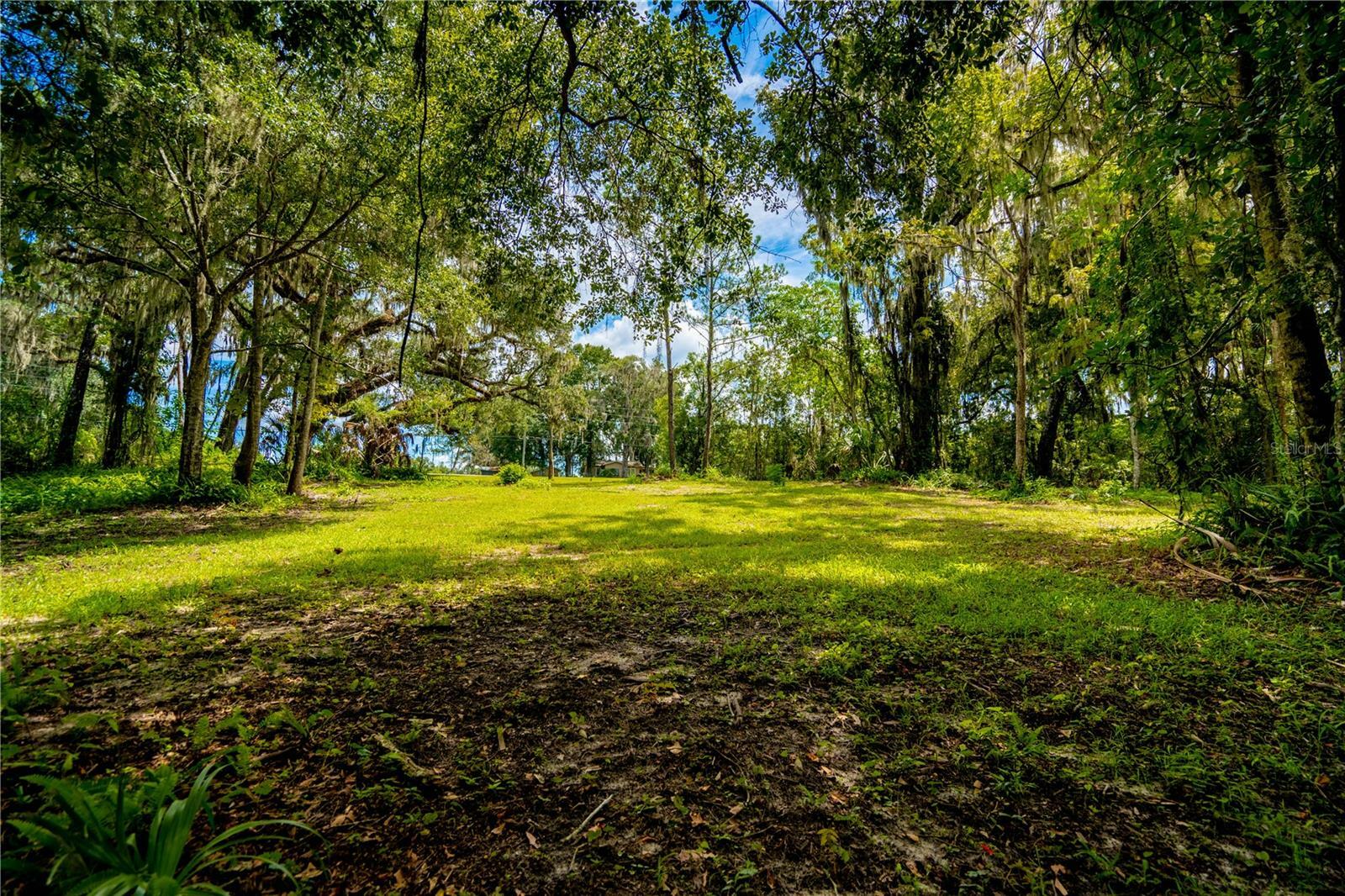 Property Photo:  1525 Ponce De Leon Boulevard  FL 34601 