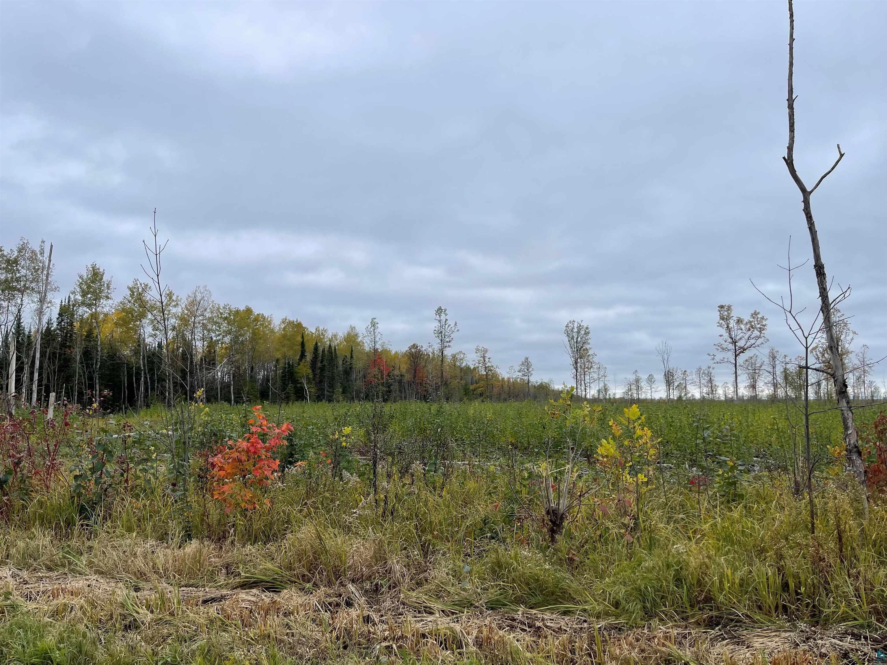Property Photo: 000 Clevedon Rd WI 54820