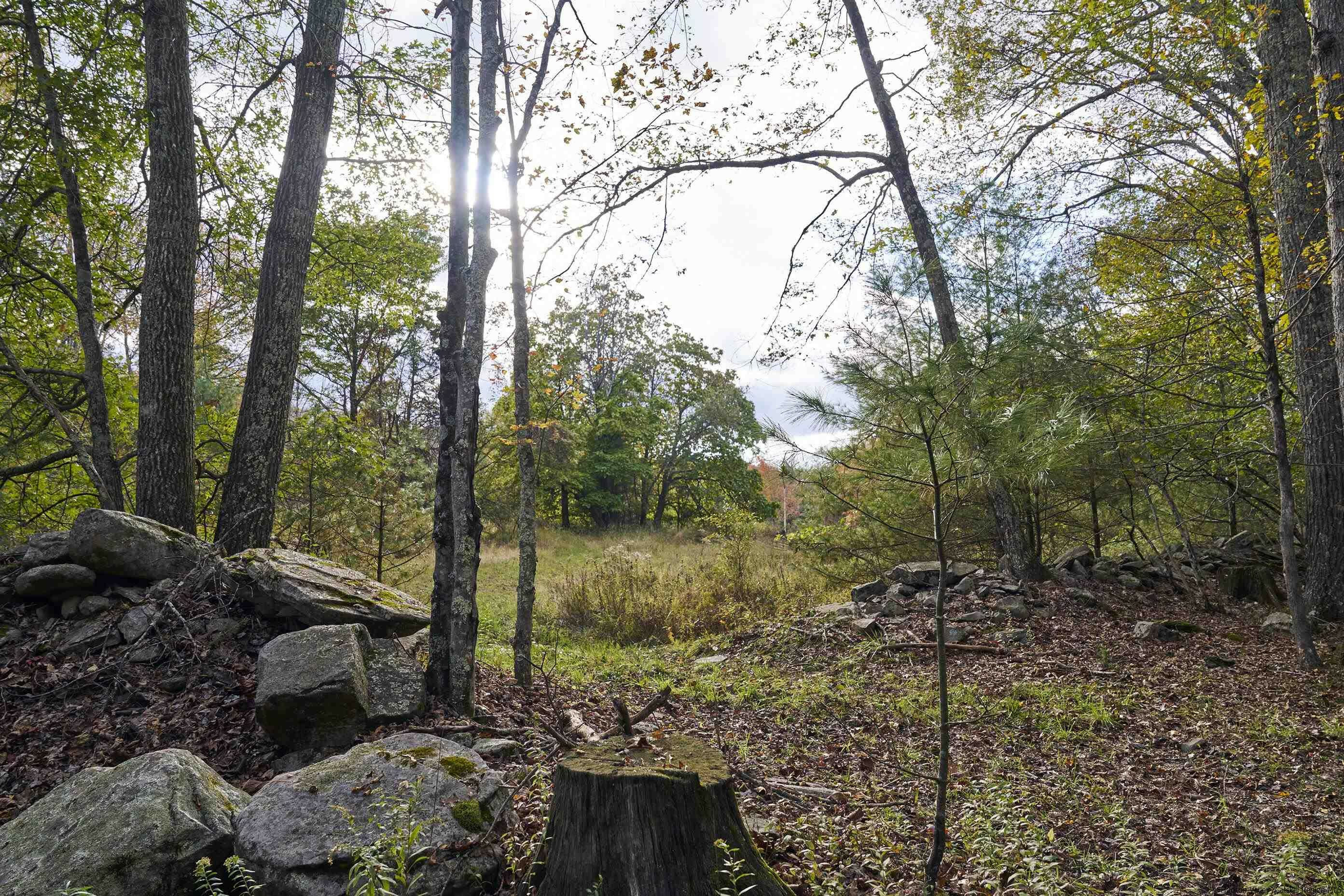 Property Photo:  Tbd Oakley Road Lot  NY 12404 