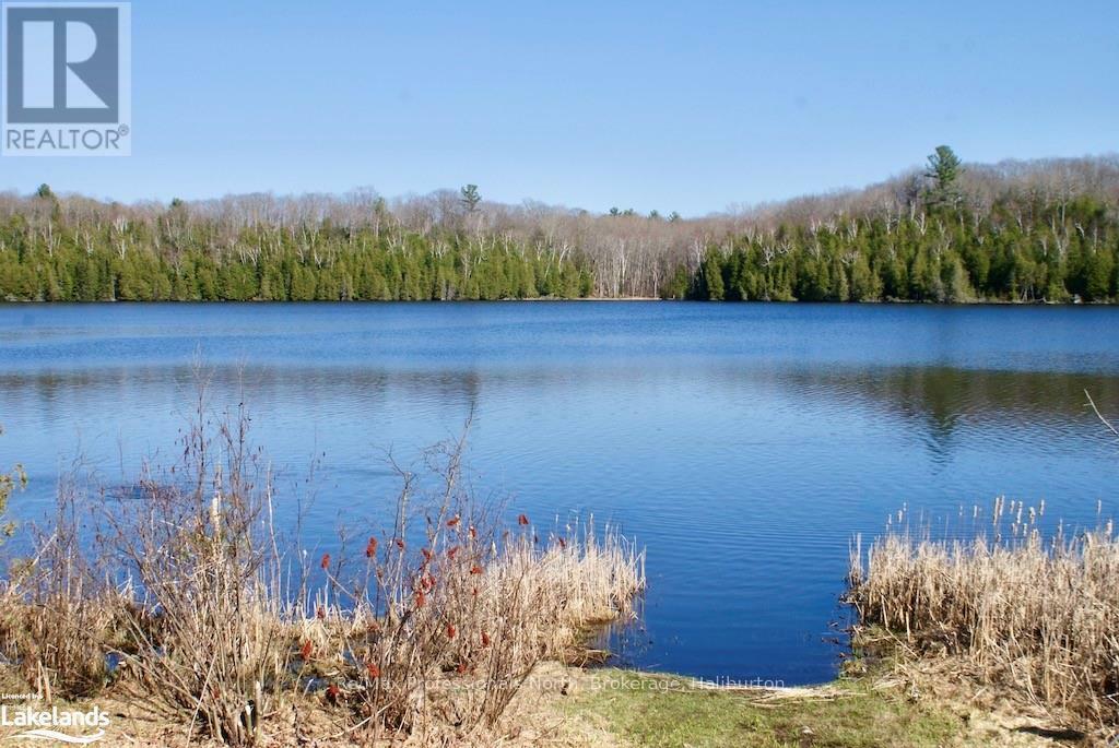 Property Photo:  0 Highway 35  ON K0M 2K0 