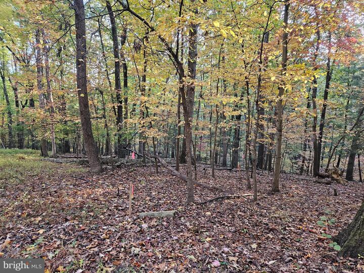 22,23,24,25 Dogwood Ln  Bluemont VA 20135 photo