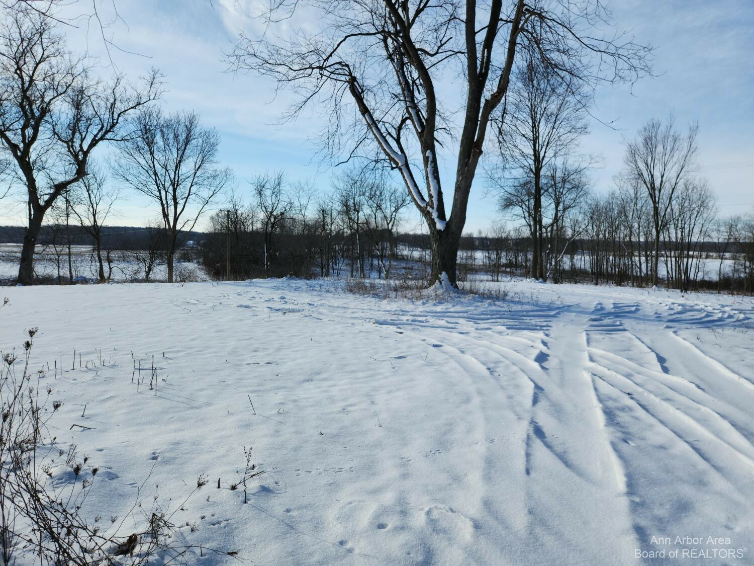 Property Photo:  9856 Saline Milan Road  MI 48176 