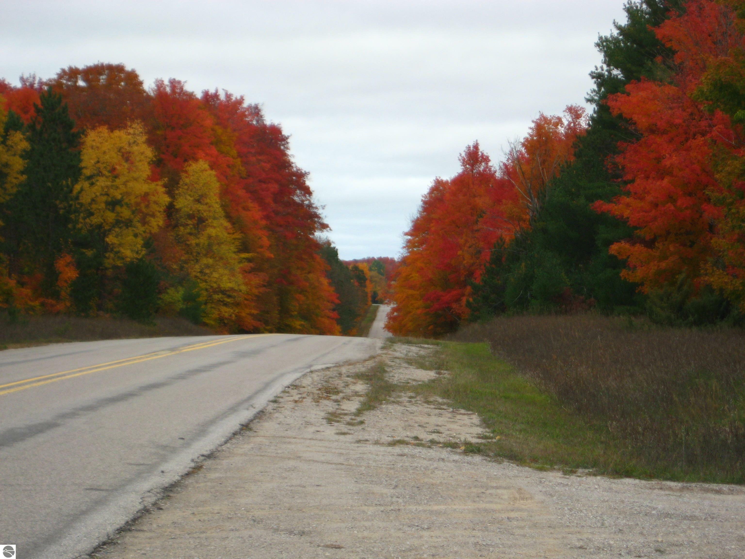 Property Photo:  75 Acres E Kasson Road  MI 49664 