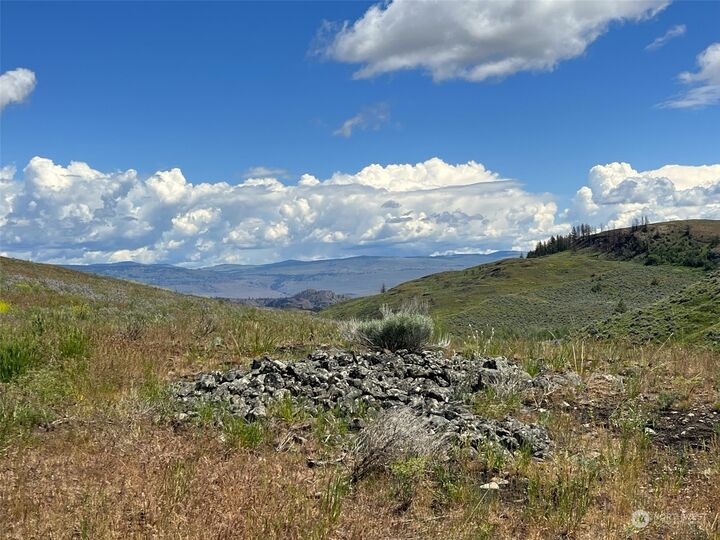 Property Photo:  836 Tbd  Ellemeham Mountain Road  WA 98844 