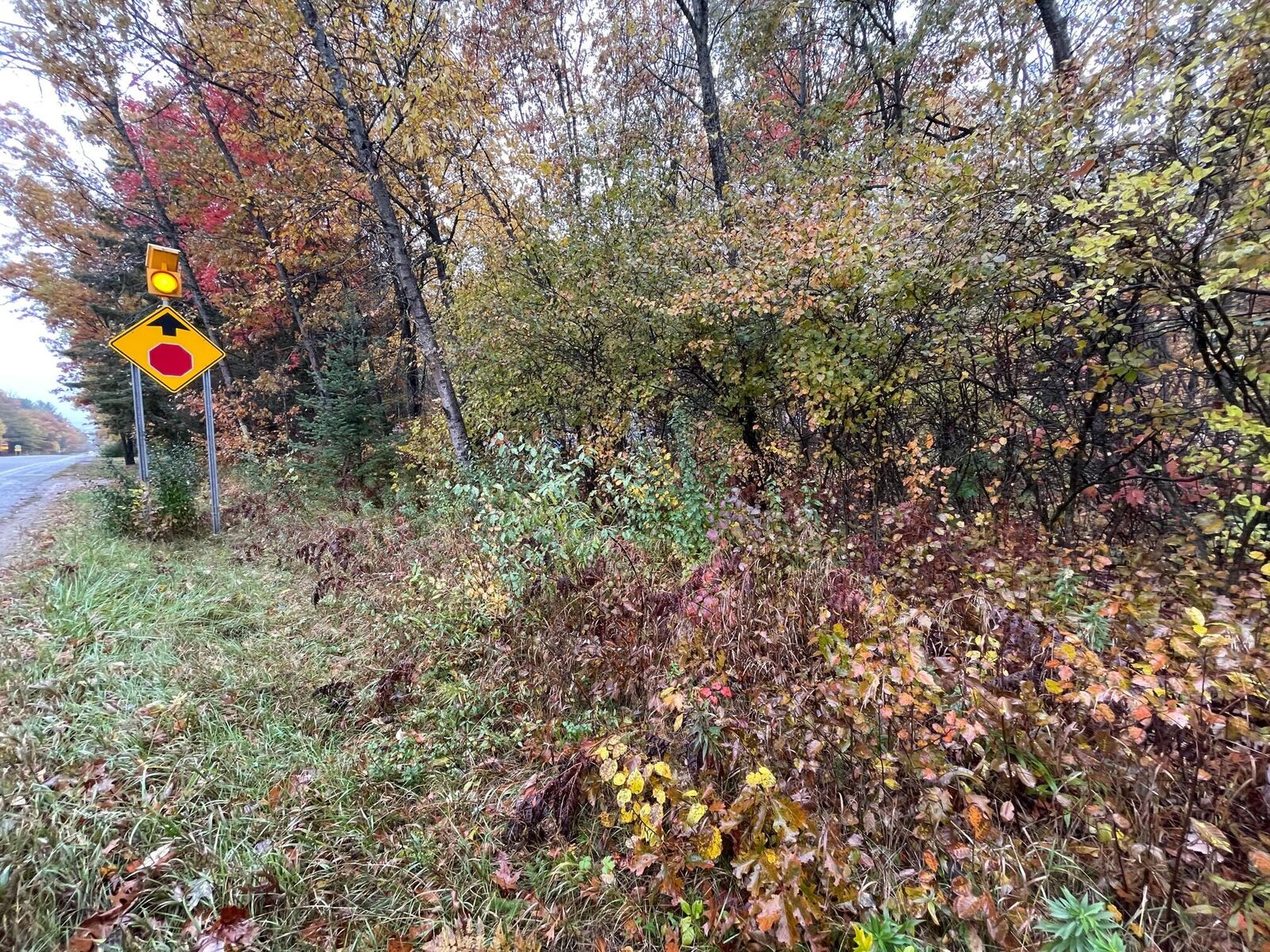 Property Photo:  Lot 150 S Tower Hill Road  MI 48629 