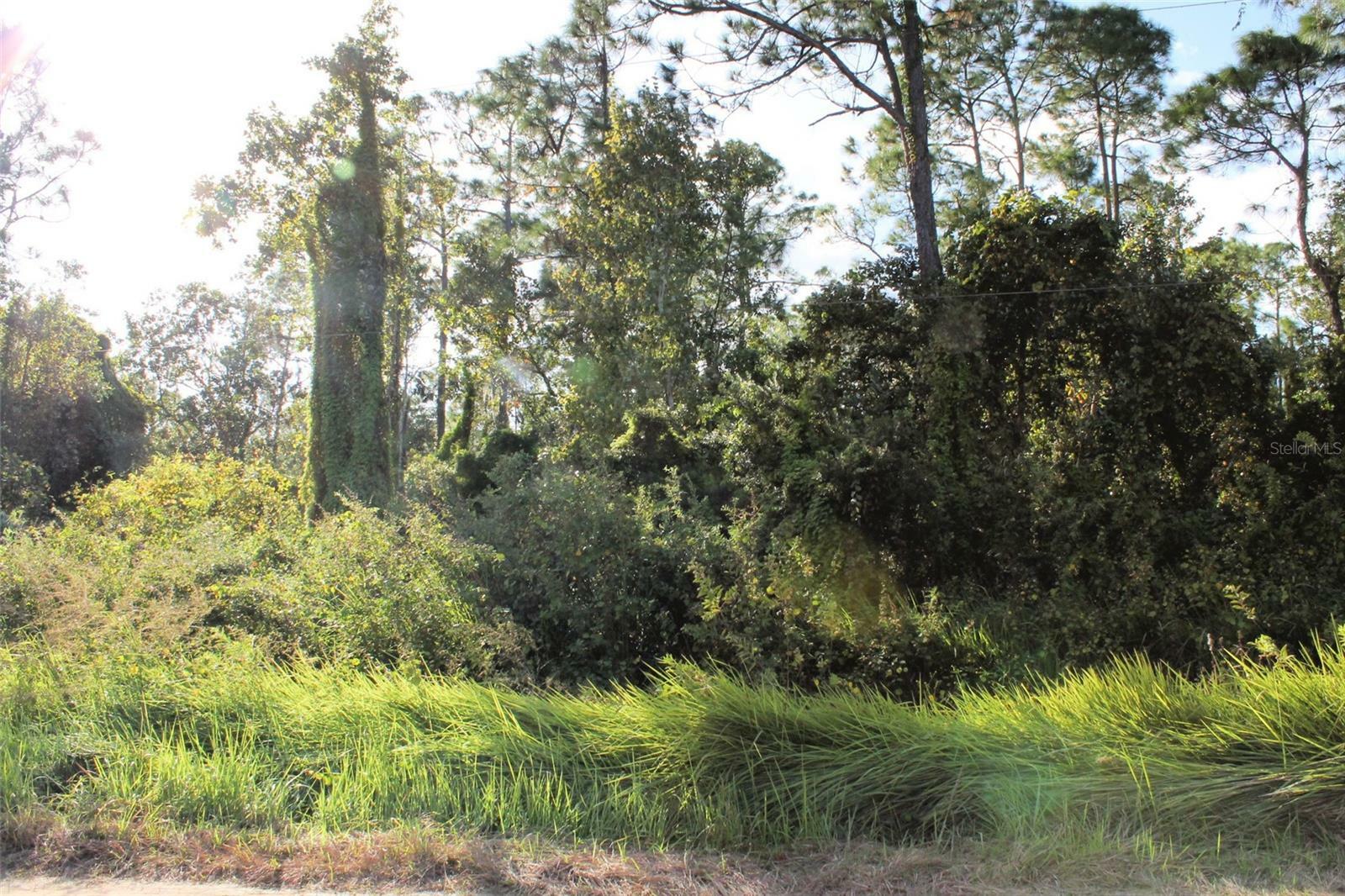 Property Photo: 7712 Amy Carter Court FL 33898