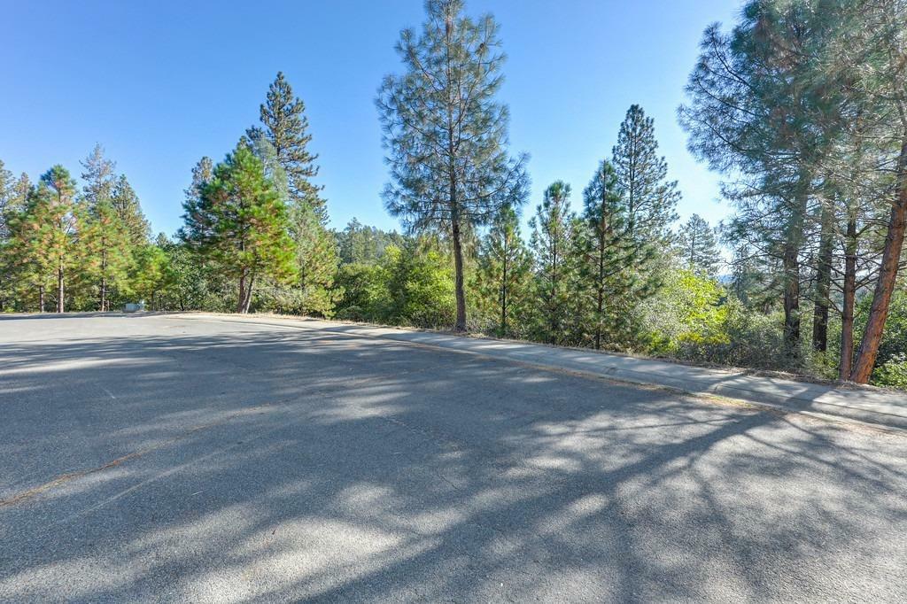 Property Photo:  754 Quartz Mountain Drive  CA 95667 