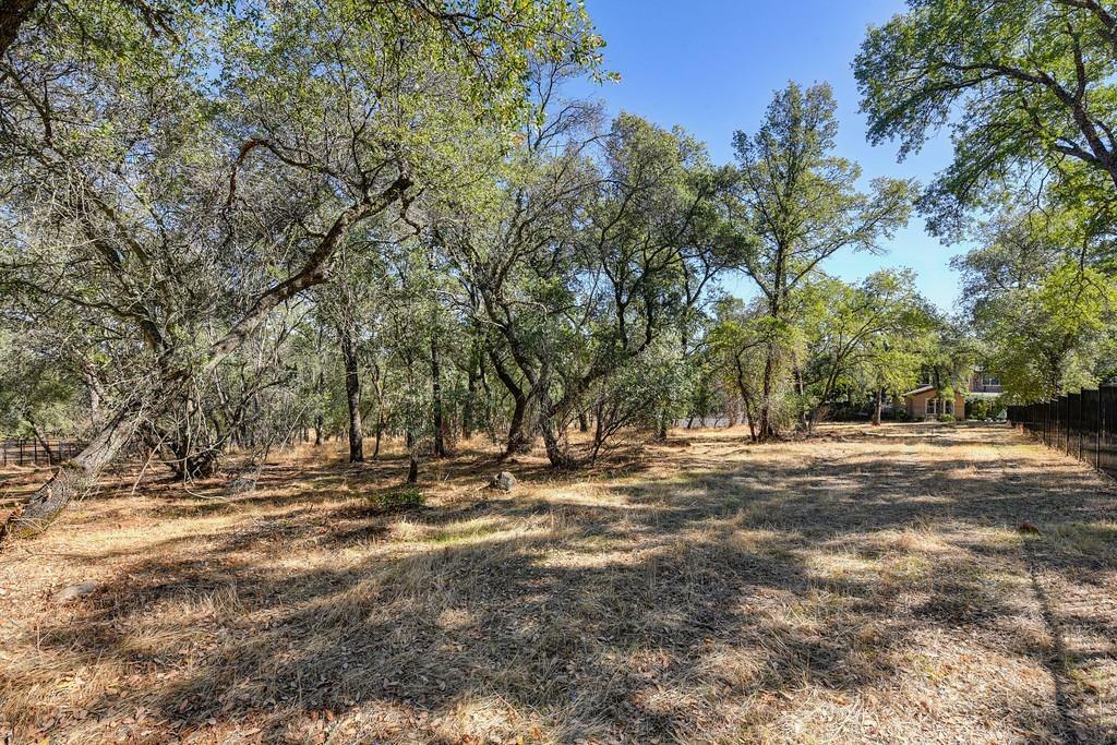 Property Photo:  511 Renaissance Place  CA 95762 