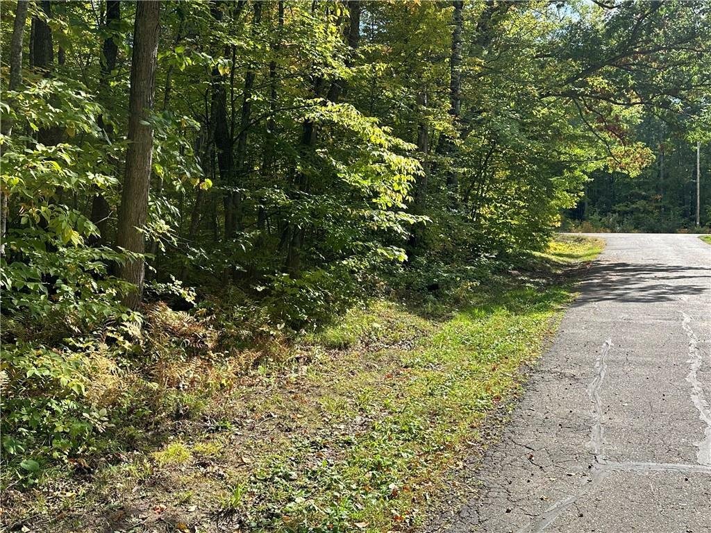 Property Photo:  Lot 24 Off Maiden Lane  WI 54876 