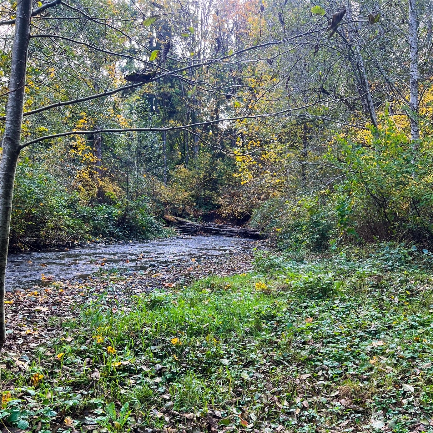 Property Photo:  0  Wildwood Road  WA 98376 