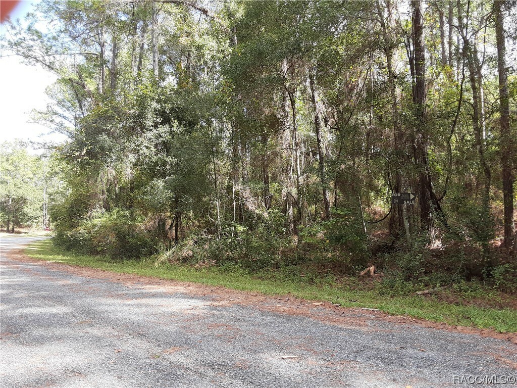 Property Photo:  8805 N Ramble Point  FL 34434 