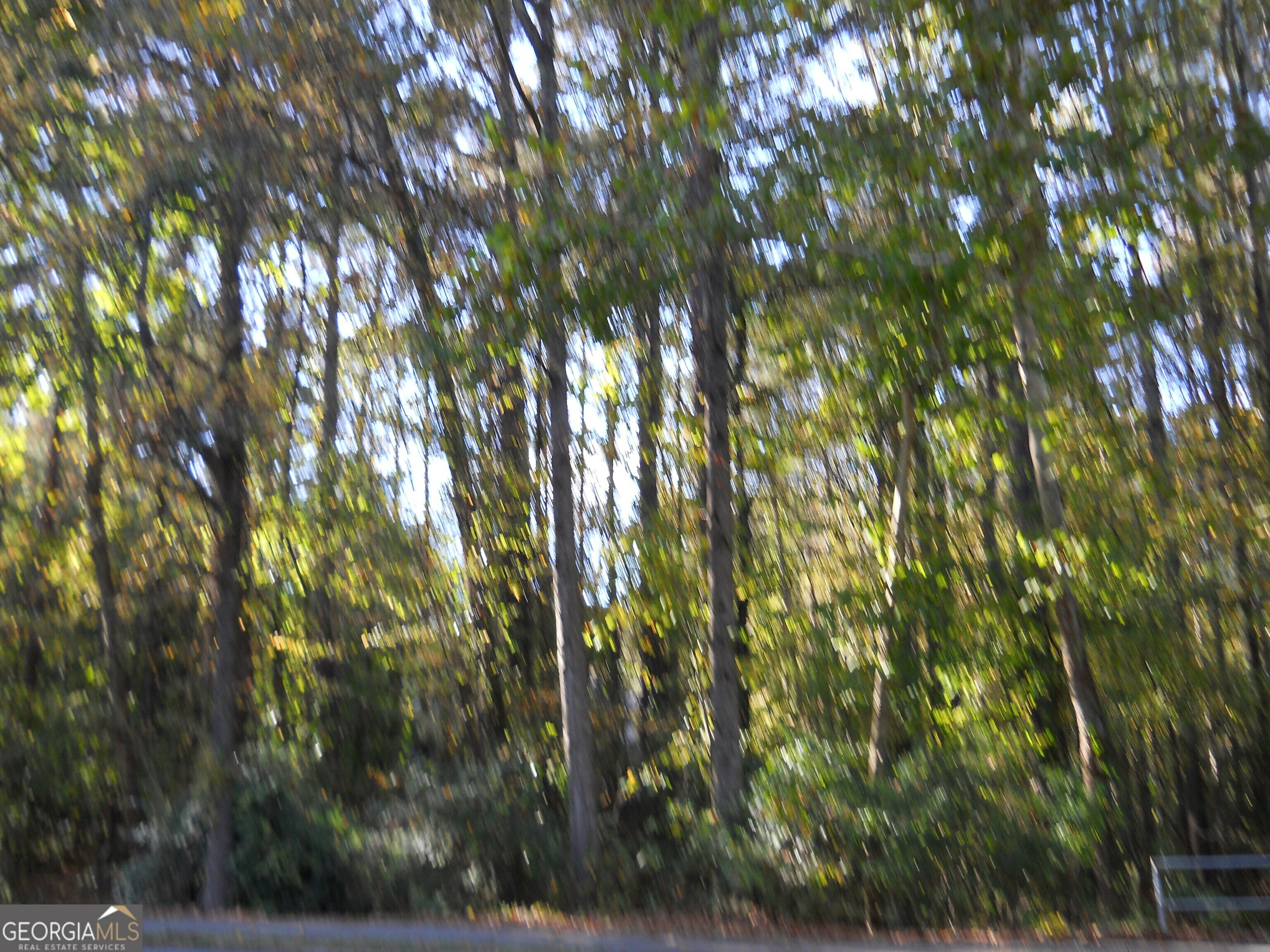 Property Photo: 1661 Young Road GA 30058