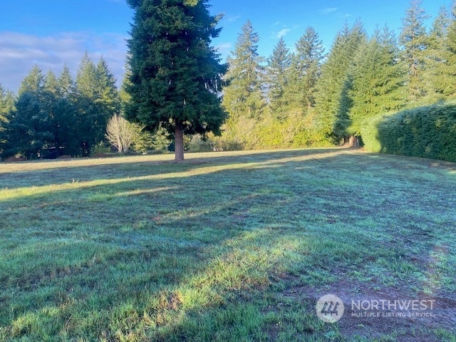 Property Photo:  116 Brian Drive  WA 98532 