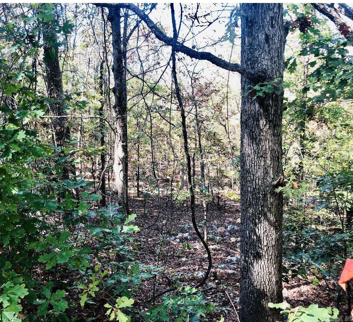 Property Photo:  Lot 10 Norfork Drive  AR 72113 