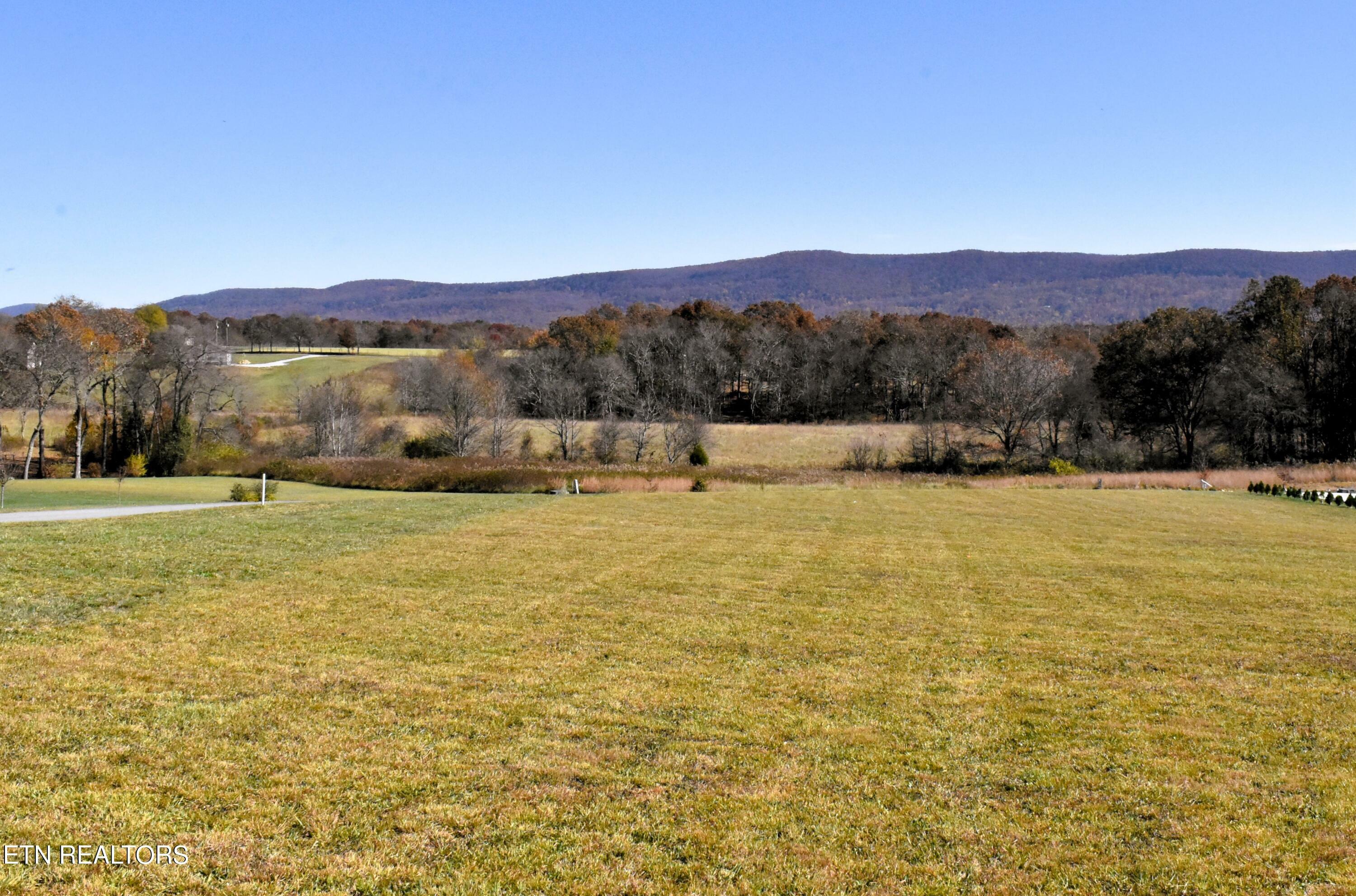 Property Photo:  Shadow Mountain Drive  TN 38572 