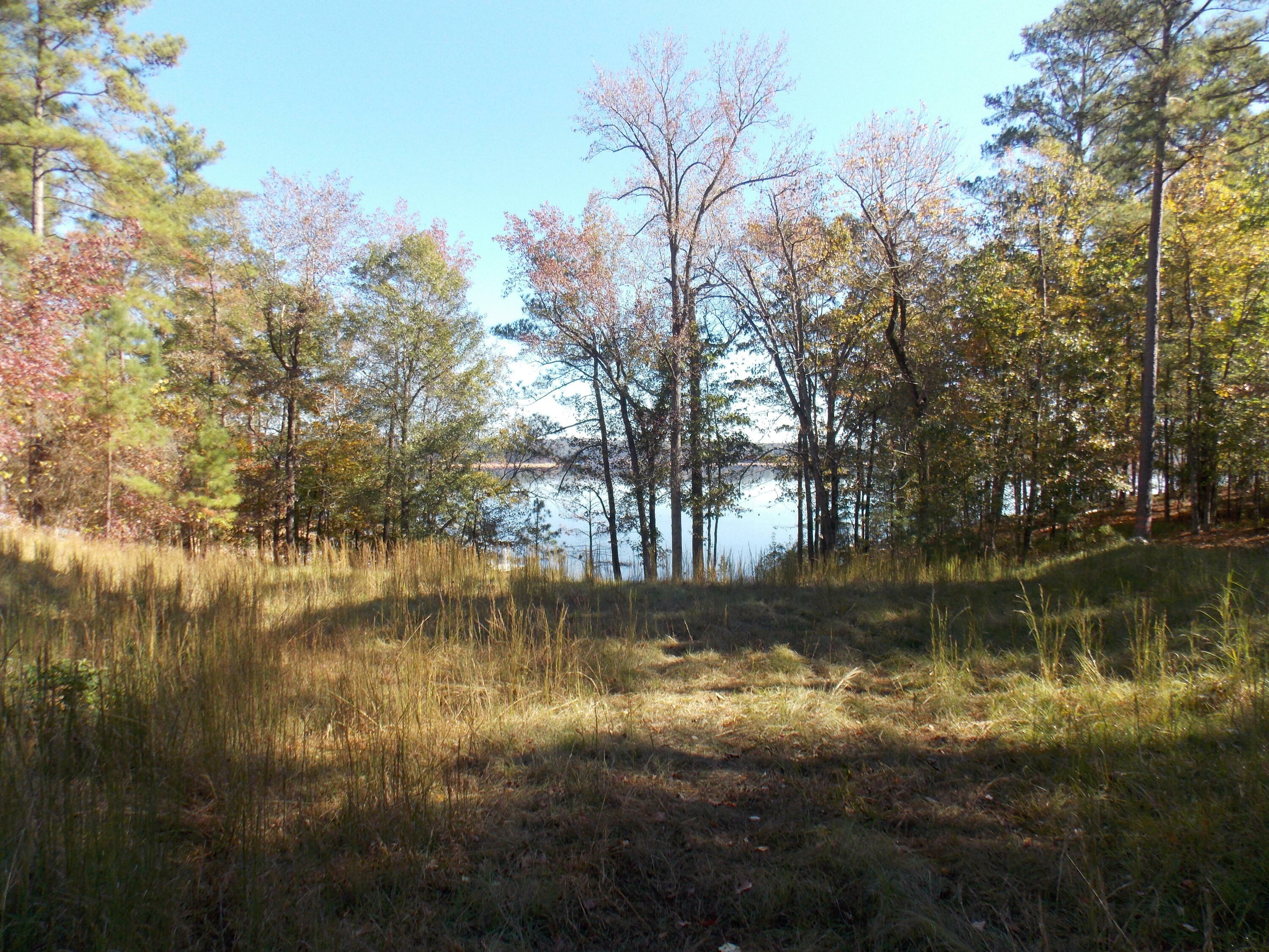 Property Photo:  18 South Pointe Cv  GA 30817 