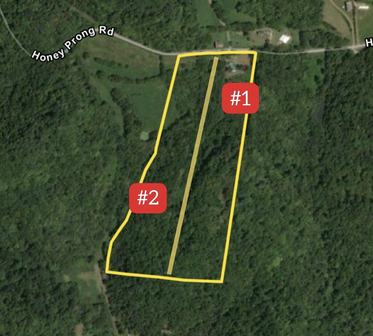 Property Photo: 920 Honey Prong Rd TN 37074