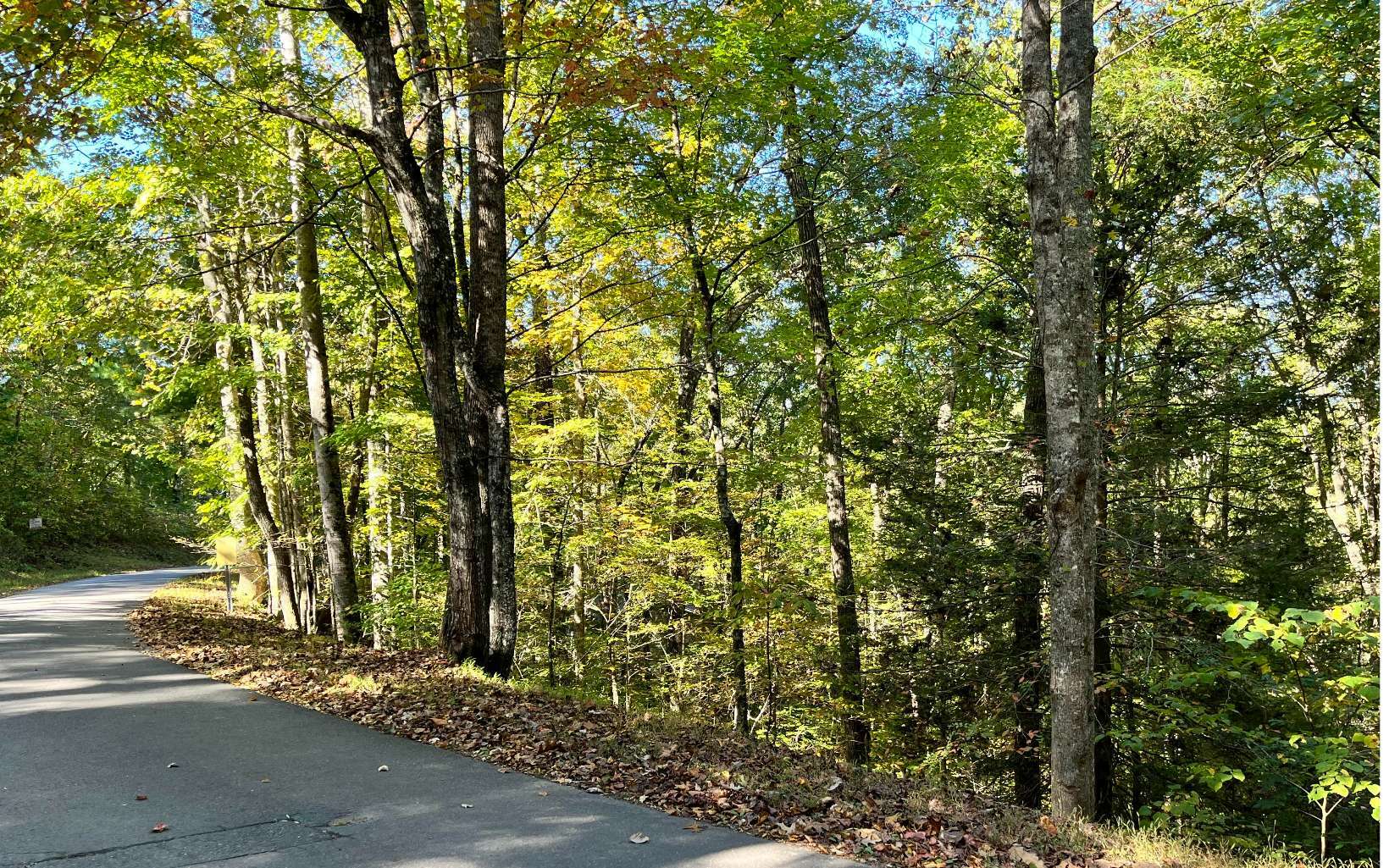 Property Photo:  00 Big Rock Trail  NC 28906 